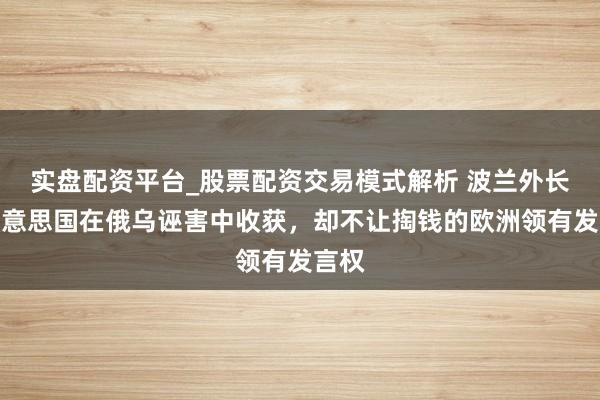 实盘配资平台_股票配资交易模式解析 波兰外长：好意思国在俄乌诬害中收获，却不让掏钱的欧洲领有发言权