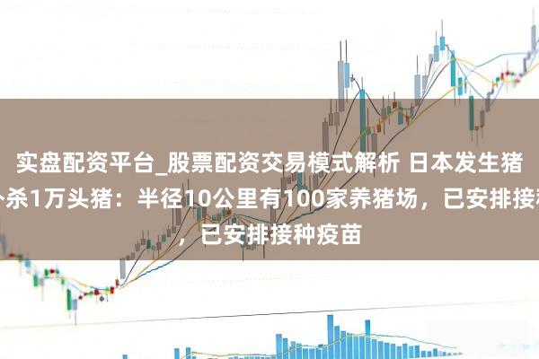 实盘配资平台_股票配资交易模式解析 日本发生猪瘟将扑杀1万头猪：半径10公里有100家养猪场，已安排接种疫苗