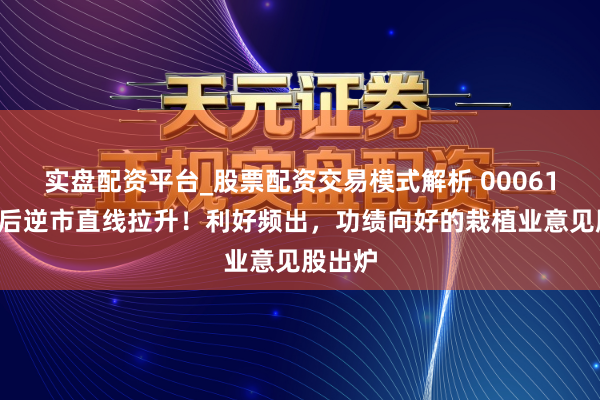 实盘配资平台_股票配资交易模式解析 000617，午后逆市直线拉升！利好频出，功绩向好的栽植业意见股出炉