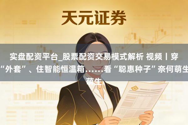 实盘配资平台_股票配资交易模式解析 视频丨穿“外套”、住智能恒温箱……看“聪惠种子”奈何萌生