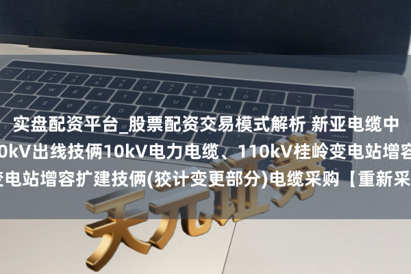 实盘配资平台_股票配资交易模式解析 新亚电缆中标：加多鹅塘片区10kV出线技俩10kV电力电缆、110kV桂岭变电站增容扩建技俩(狡计变更部分)电缆采购【重新采购】成交成果公告
